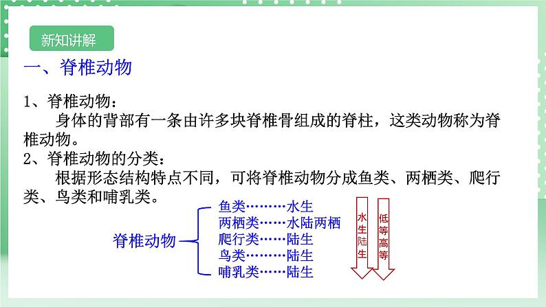 【核心素养】浙教版科学七年级上册 2.3《多姿多彩的动物》（第2课时）课件+教案+学案+素材05