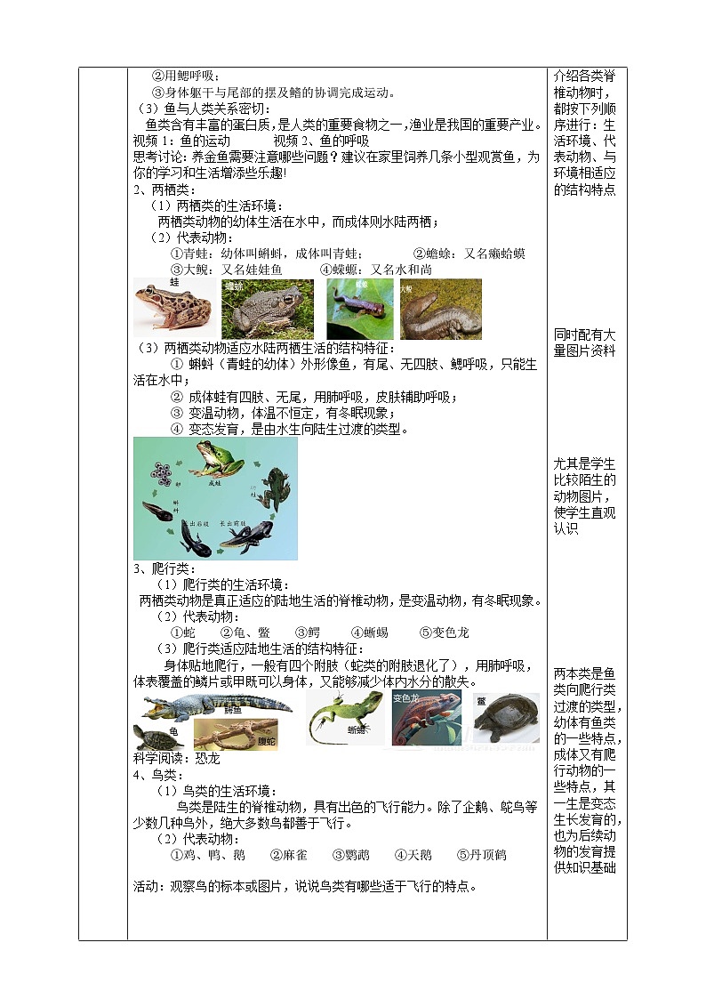【核心素养】浙教版科学七年级上册 2.3《多姿多彩的动物》（第2课时）课件+教案+学案+素材02