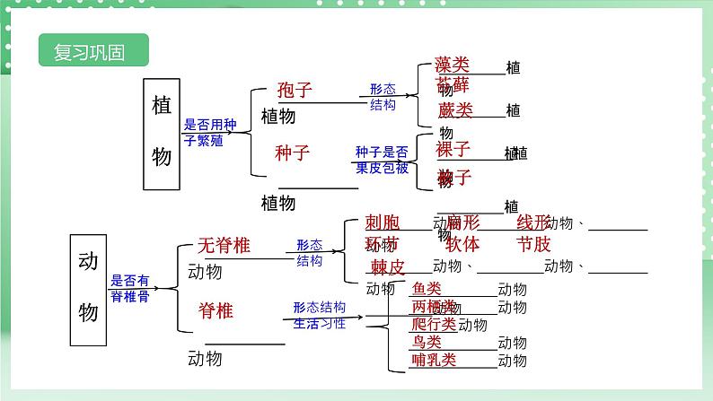 【核心素养】浙教版科学七年级上册 2.4《生物的分类》课件+教案+学案+素材03