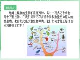 【核心素养】浙教版科学七年级上册 2.4《生物的分类》课件+教案+学案+素材