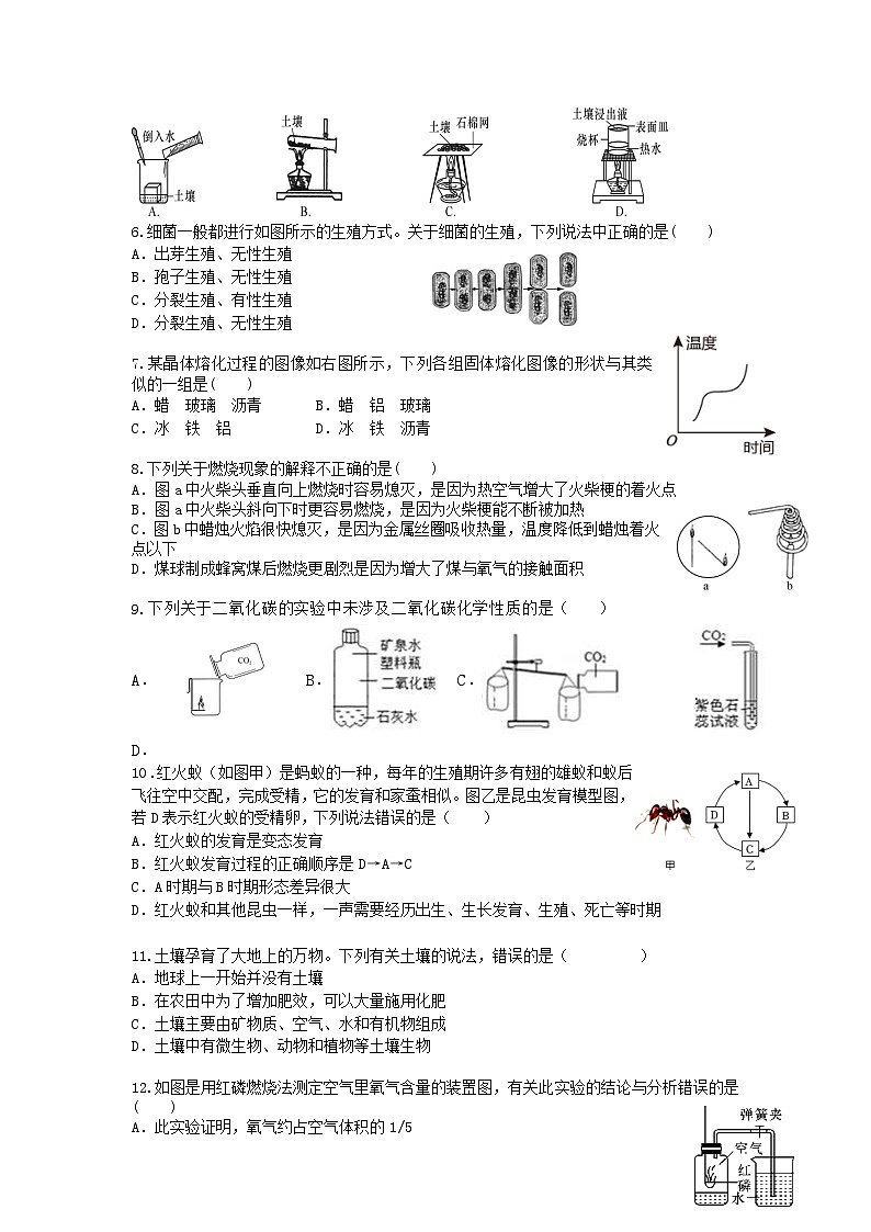 浙江省宁波市余姚市2023-2024学年下学期七年级期末考试科学测试卷02