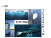 浙教版初中科学8上1.3 水的浮力 第1课时 课件