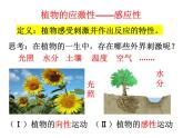 浙教版初中科学8上第1节 植物生命活动的调节 课件