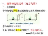 浙教版初中科学8上第1节 植物生命活动的调节 课件