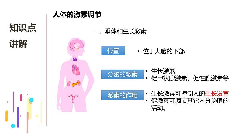 浙教版初中科学8上3.2 人体的激素调节 课件03