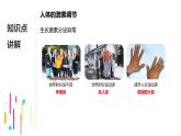 浙教版初中科学8上3.2 人体的激素调节 课件