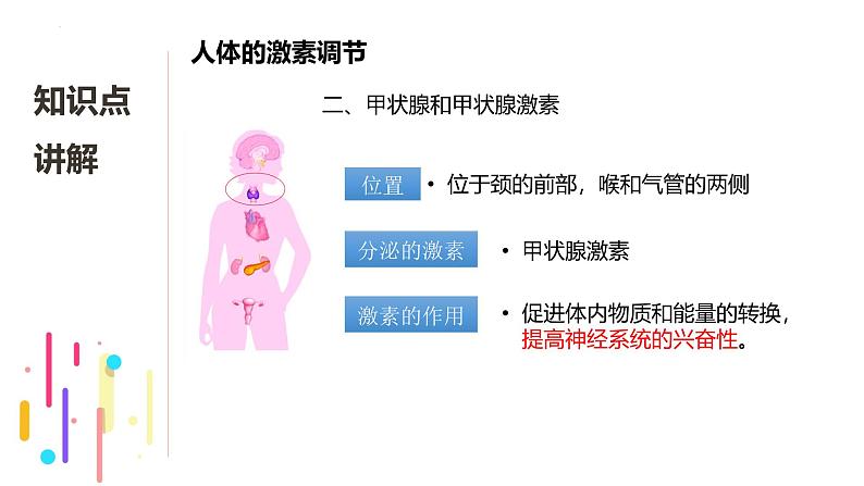 浙教版初中科学8上3.2 人体的激素调节 课件05