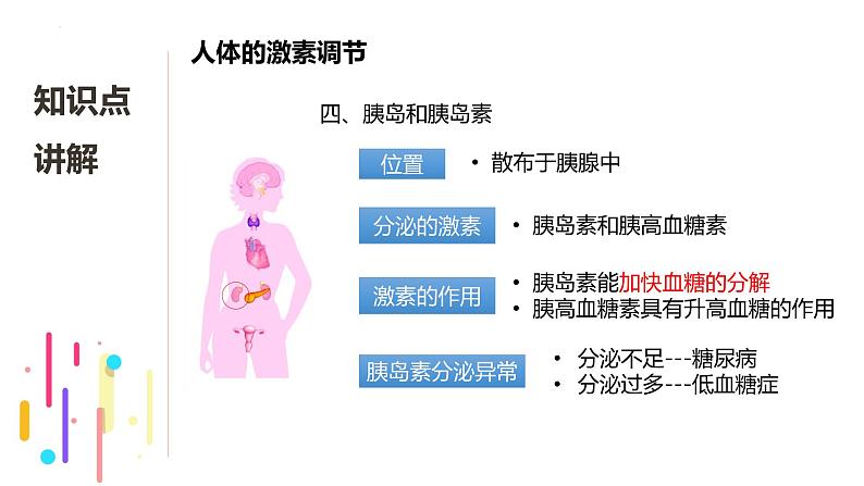 浙教版初中科学8上3.2 人体的激素调节 课件08