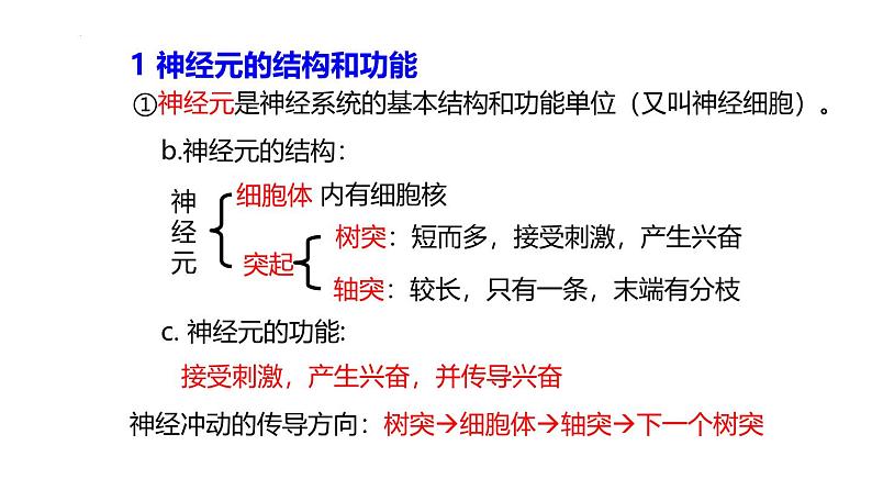 浙教版初中科学8上3.3 神经调节 课件06