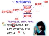 浙教版初中科学9上1.2 物质的酸碱性 课件