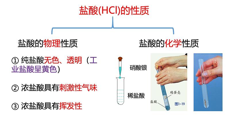 浙教版初中科学9上1.3 常见的酸 课件07