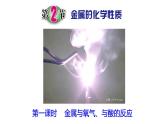 浙教版初中科学9上2.2.1 金属的化学性质 课件