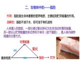 浙教版初中科学9上2.3 有机物和有机合成材料 课件