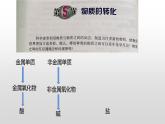 浙教版初中科学9上2.5  物质的转化 课件+视频素材