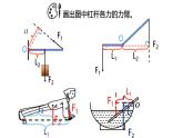 浙教版初中科学9上3.4.2 简单机械 课件