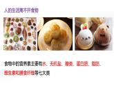 浙教版初中科学9上4.1 食物与营养 课件