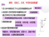 浙教版初中科学9上4.1 食物与营养 课件