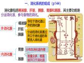 浙教版初中科学9上4.2.1食物的消化与吸收 课件