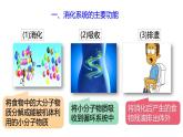 浙教版初中科学9上4.2.2 食物的消化与吸收 课件