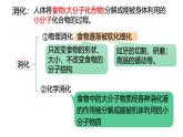 浙教版初中科学9上4.2.2 食物的消化与吸收 课件