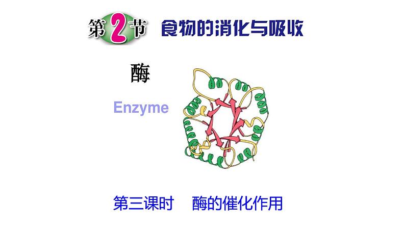 浙教版初中科学9上4.2.3 食物的消化与吸收 课件01