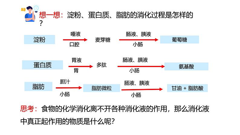 浙教版初中科学9上4.2.3 食物的消化与吸收 课件02