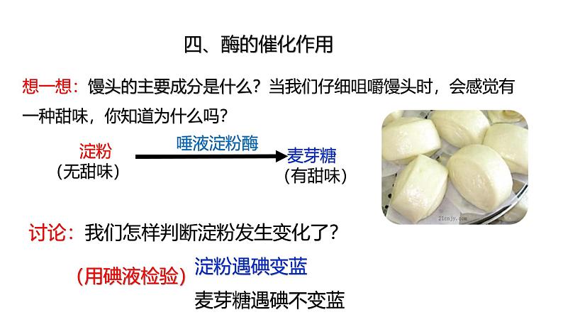 浙教版初中科学9上4.2.3 食物的消化与吸收 课件08