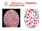 浙教版初中科学9上4.3.1 体内物质的运输 课件