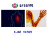 浙教版初中科学9上4.3.2 体内物质的运输 课件