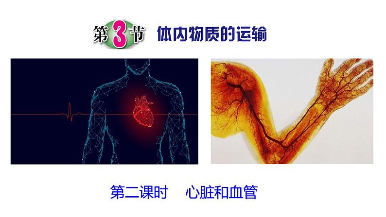 浙教版初中科学9上4.3.2 体内物质的运输 课件01