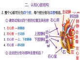 浙教版初中科学9上4.3.2 体内物质的运输 课件
