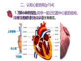 浙教版初中科学9上4.3.2 体内物质的运输 课件