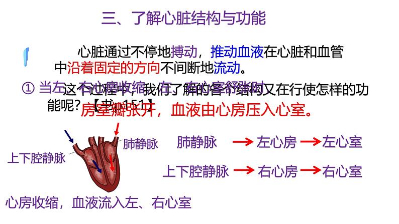 浙教版初中科学9上4.3.2 体内物质的运输 课件06