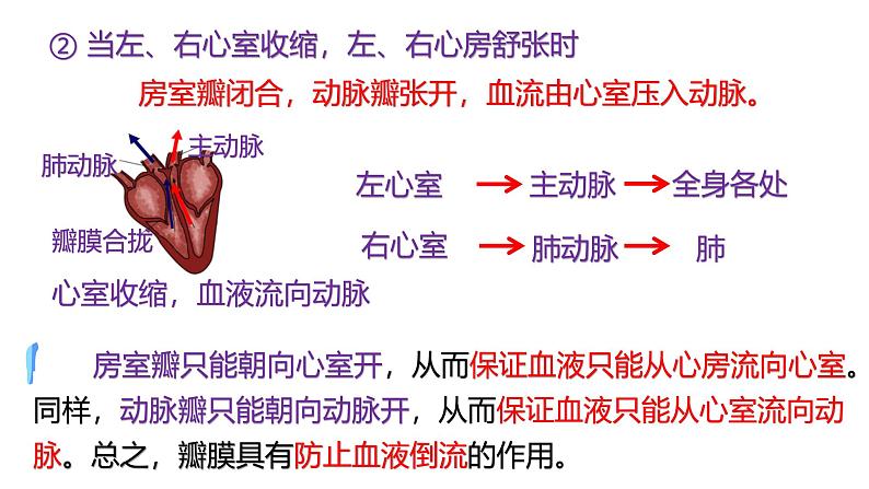 浙教版初中科学9上4.3.2 体内物质的运输 课件07