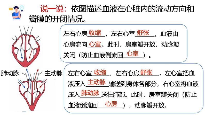 浙教版初中科学9上4.3.2 体内物质的运输 课件08