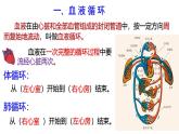 浙教版初中科学9上4.3.3 体内物质的运输 课件