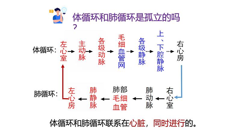 浙教版初中科学9上4.3.3 体内物质的运输 课件06