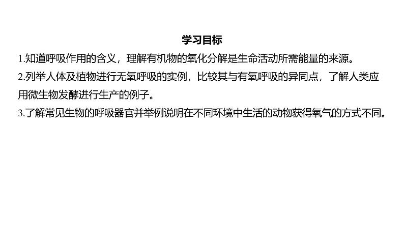 浙教版初中科学9上4.4能量的获得 课件02