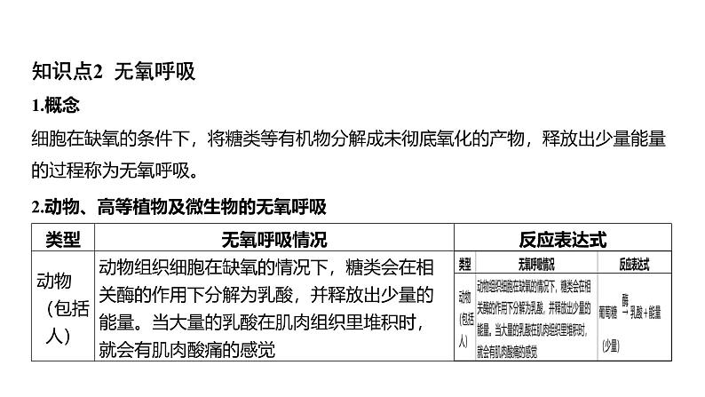 浙教版初中科学9上4.4能量的获得 课件06