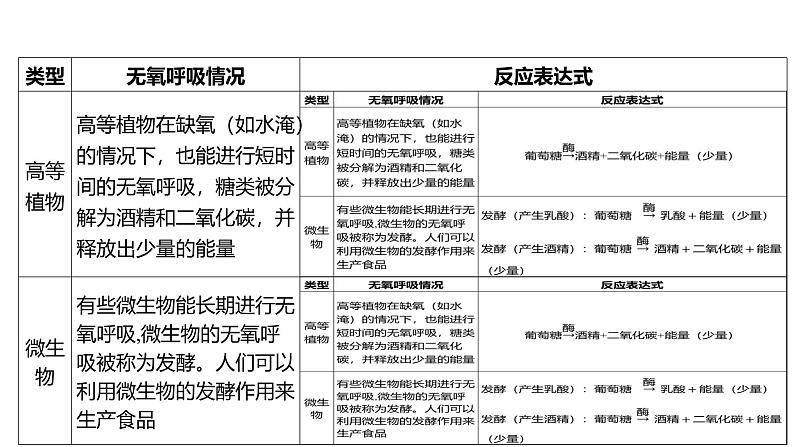 浙教版初中科学9上4.4能量的获得 课件07