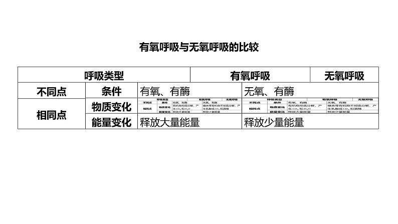 浙教版初中科学9上4.4能量的获得 课件08