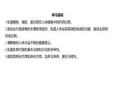 浙教版初中科学9上4.5体内物质的动态平衡 课件