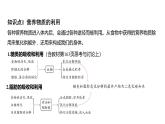 浙教版初中科学9上4.5体内物质的动态平衡 课件