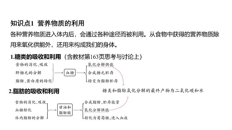 浙教版初中科学9上4.5体内物质的动态平衡 课件03