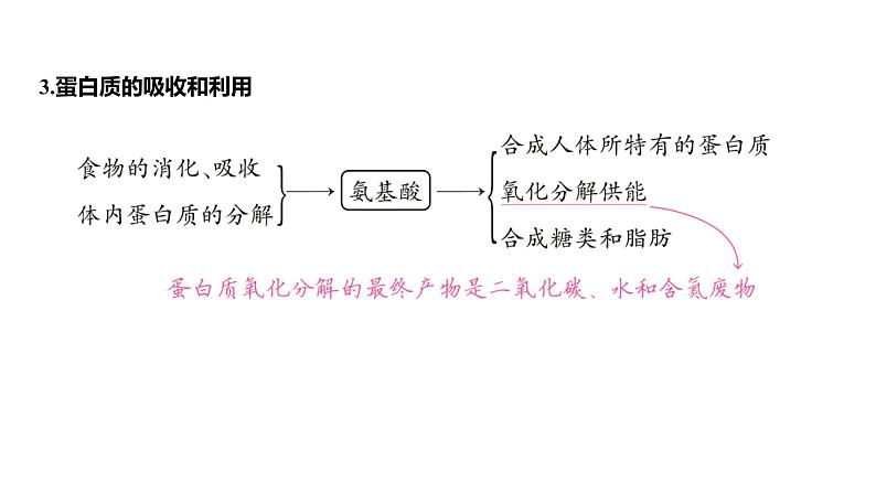 浙教版初中科学9上4.5体内物质的动态平衡 课件04