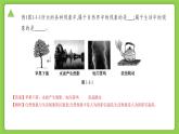 【核心素养】浙教版（2024）科学七年级上册 第1章 第1节 科学并不神秘（同步课件）