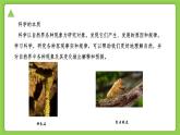 【核心素养】浙教版（2024）科学七年级上册 第1章 第1节 科学并不神秘（同步课件）