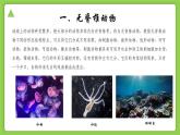 【核心素养】浙教版（2024）科学七年级上册 第2章 第3节 多姿多彩的动物（同步课件）
