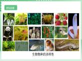 【核心素养】浙教版科学七年级上册 2.5《生物的多样性》（第2课时）课件+教案+学案+素材