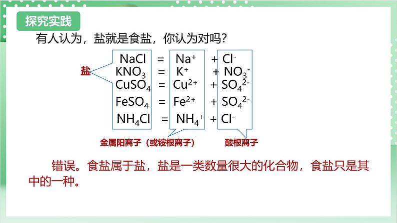 【新课标】浙教版科学九上第6节 《几种重要的盐》（第1课时）课件+练习04